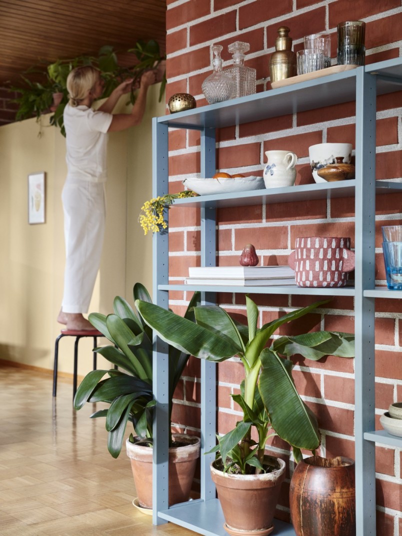 big green plants on decoration shelf in front of brick wall