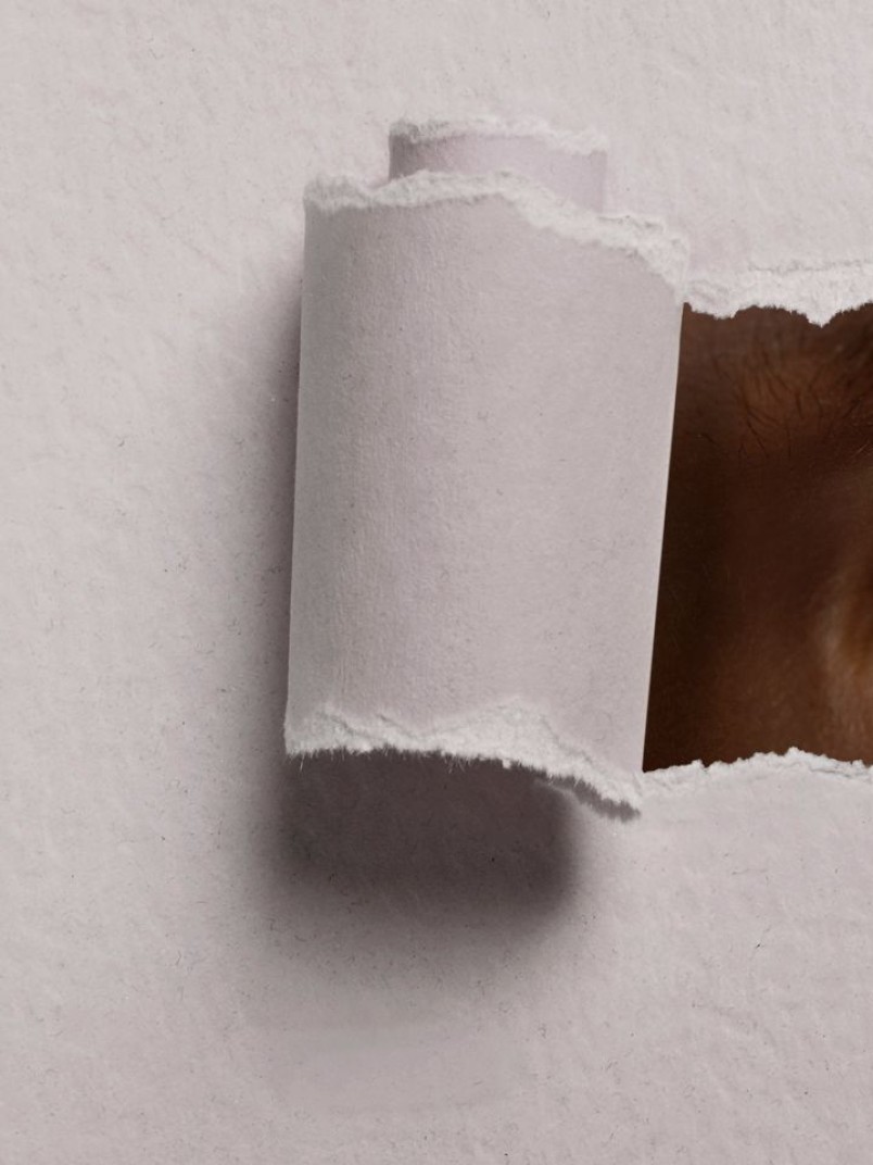 Tikkurila Color Now 2023 prezentācijas pasākums