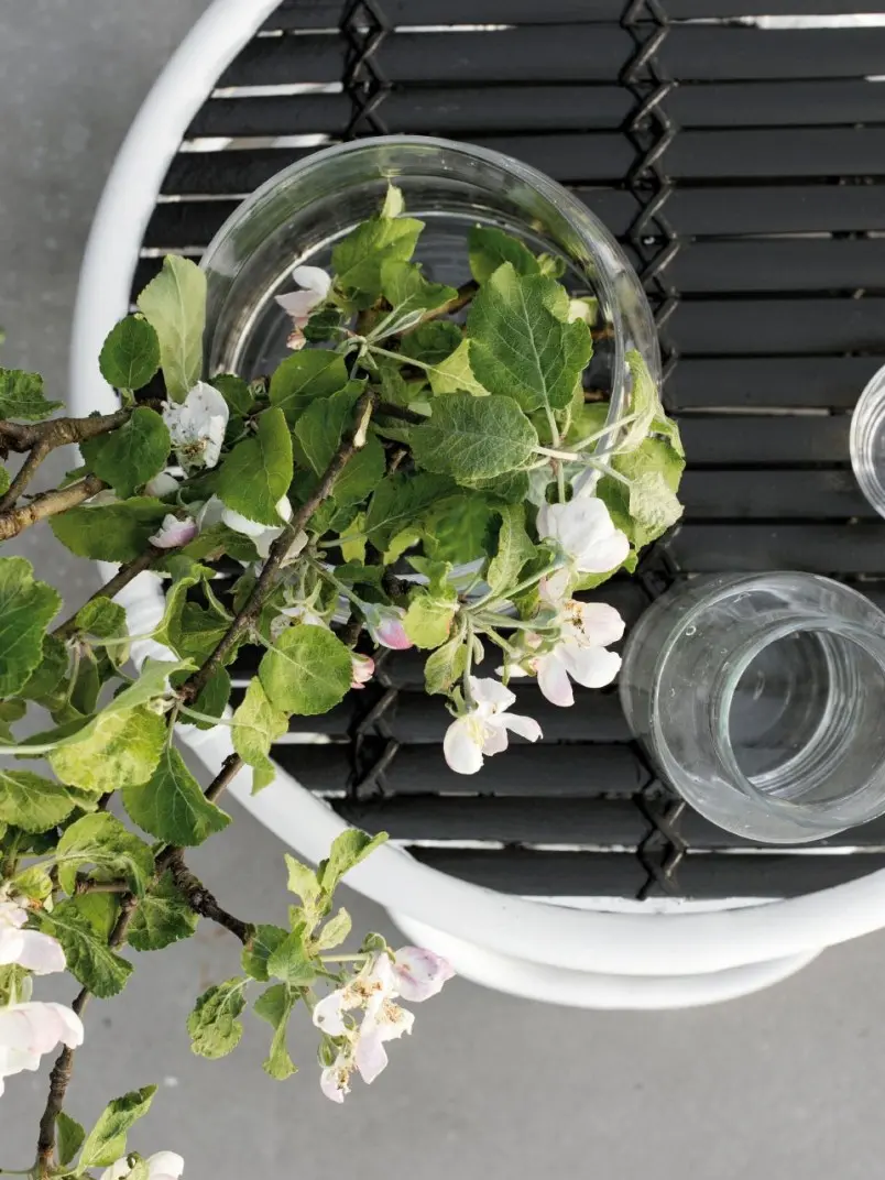 black in garden terrace