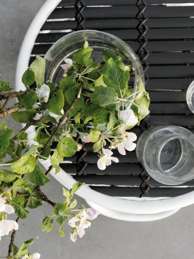 black in garden terrace