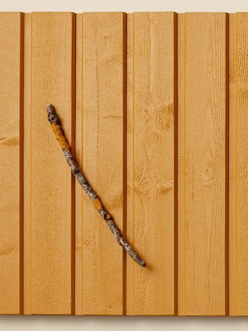 Populārākais koka fasādes tonis – Dzeltens D105 Sinappi