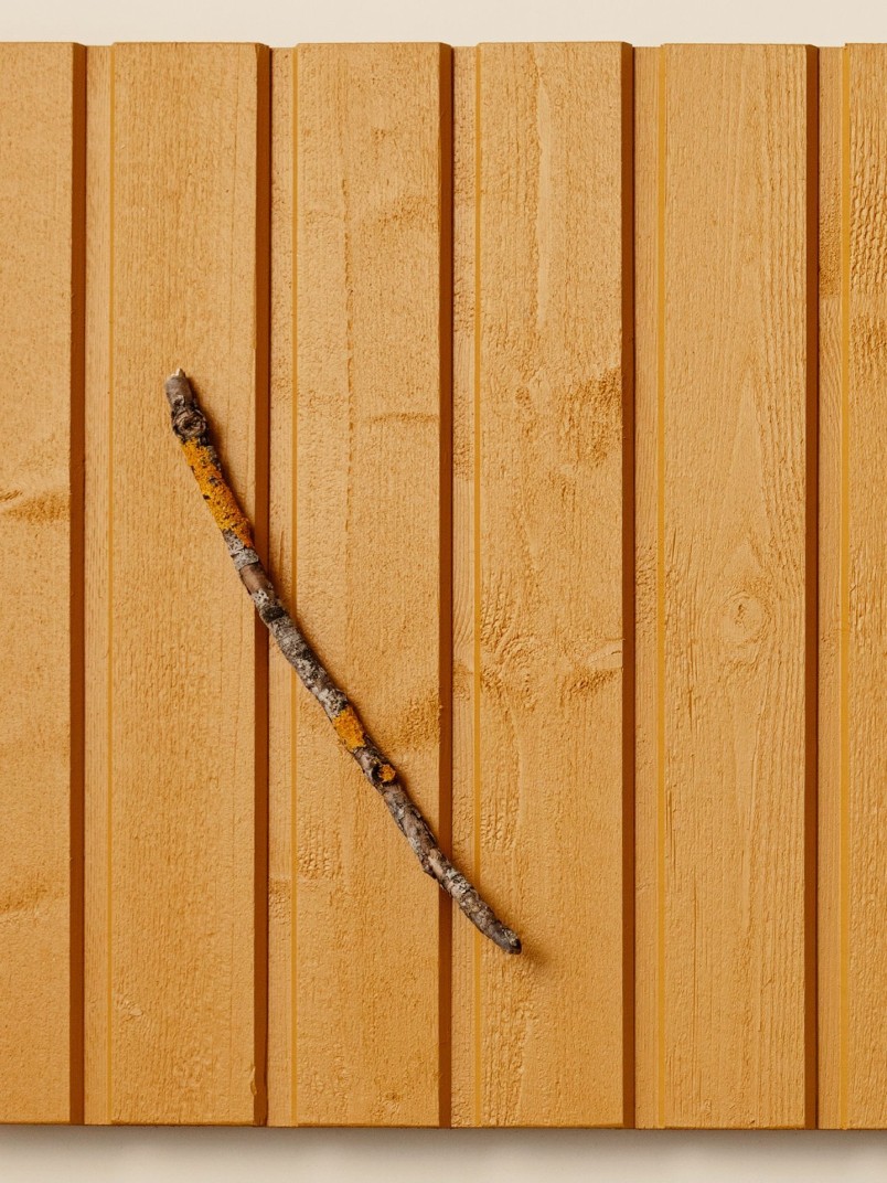 Populārākais koka fasādes tonis – Dzeltens D105 Sinappi