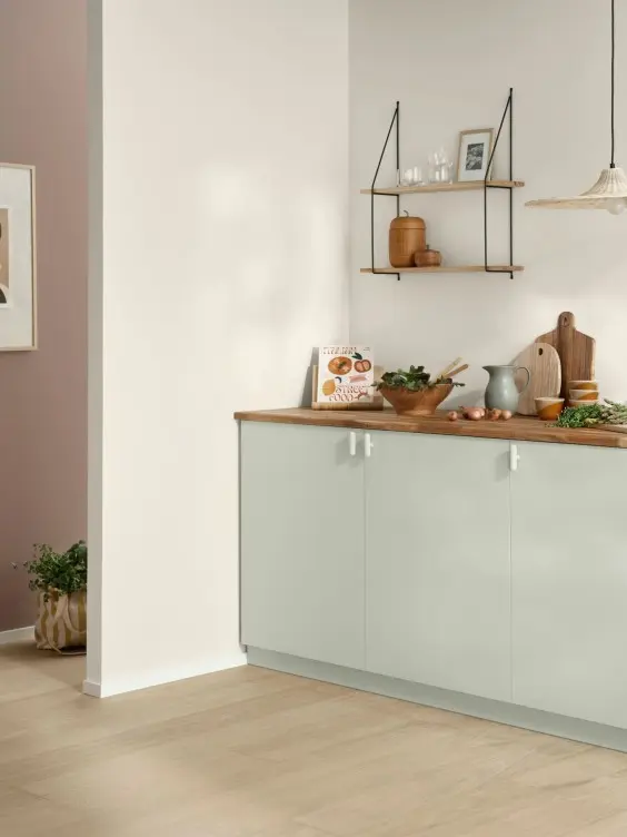 kitchen cabinet with light green colour