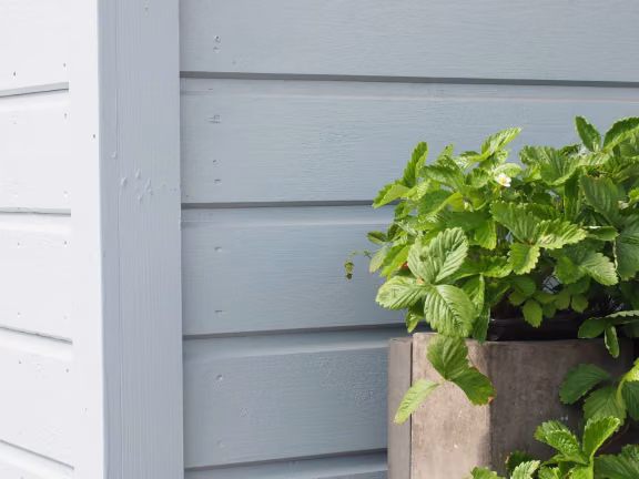painted wooden house cladding