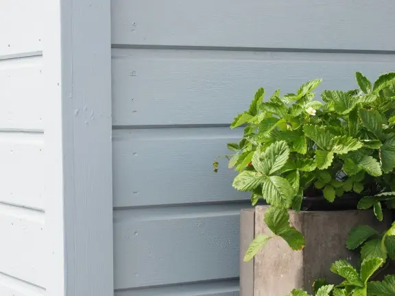 painted wooden house cladding