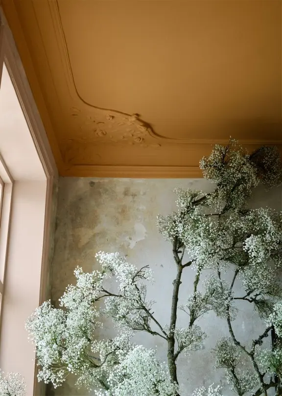 bold colour in interior