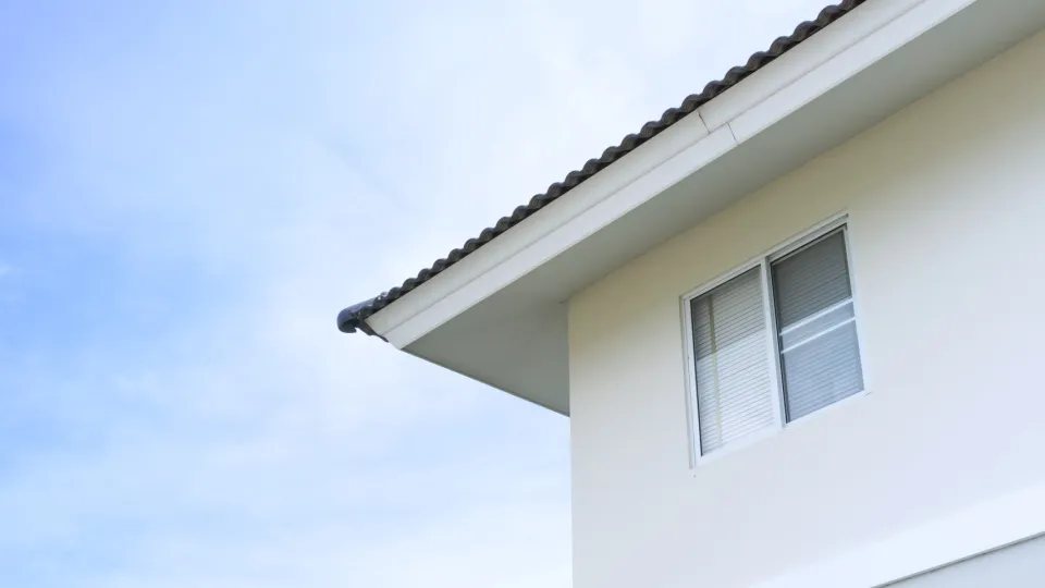 Kā klimata pārmaiņas ietekmē minerālās fasādes?