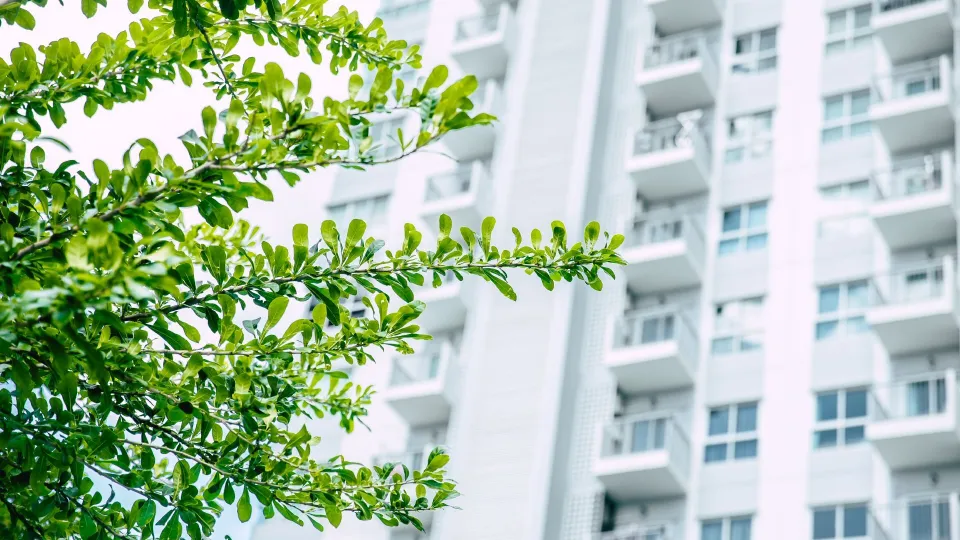 Kas ir M1 sertifikāts un kāpēc tas ir svarīgs?