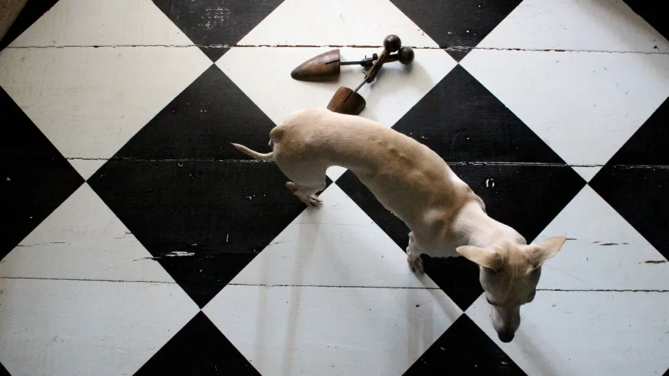 Grīdu krāsas - toņu karte