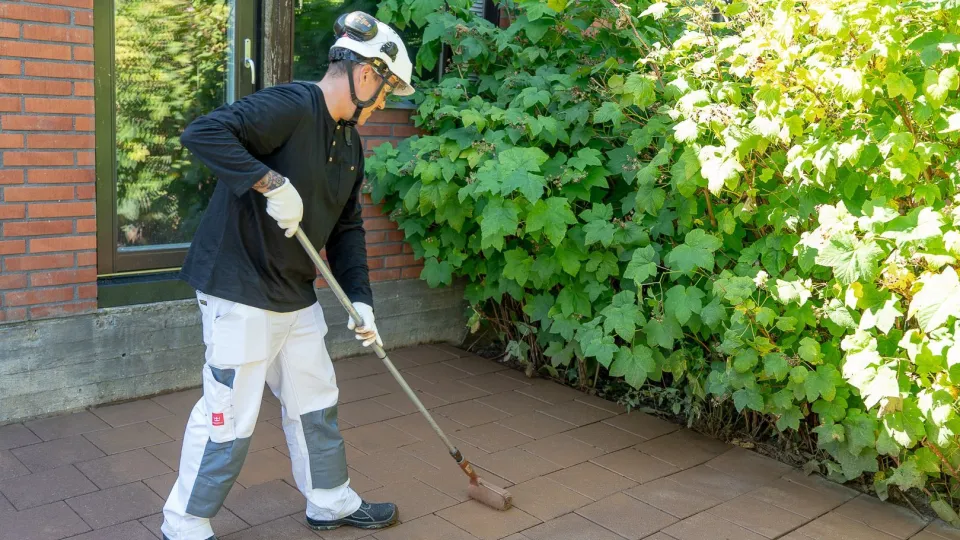 Kā atjaunot vecu dārza bruģi
