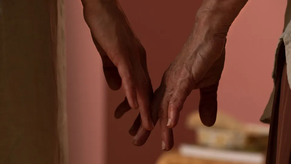 Color Now 2023 Kolekcija