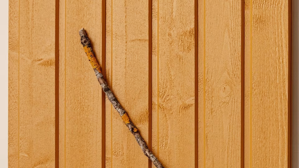 Populārākais koka fasādes tonis – Dzeltens D105 Sinappi