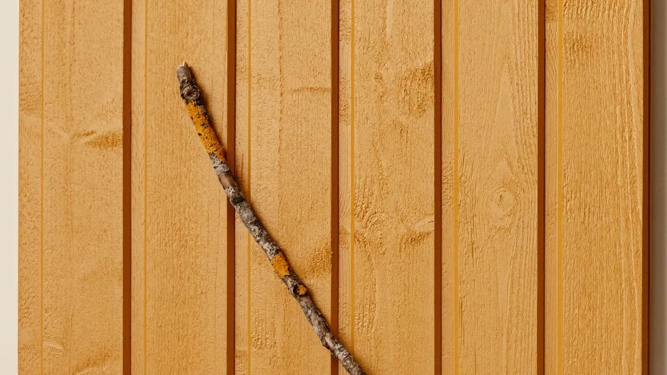 Populārākais koka fasādes tonis – Dzeltens D105 Sinappi