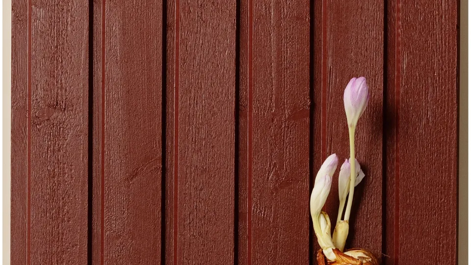 Populārākais koka fasādes tonis – Sarkanais D110 Menninkäinen