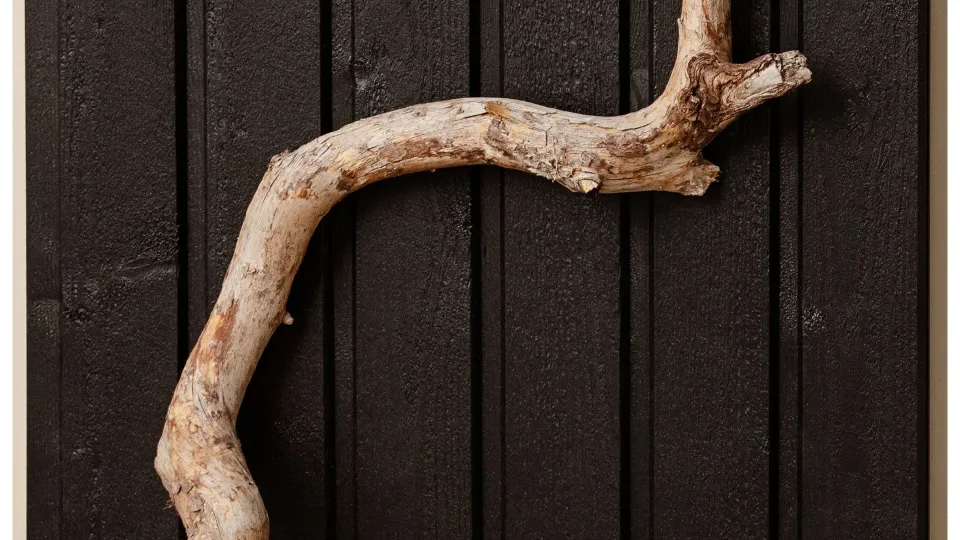 Populārākais koka fasādes tonis - Melns D129 Korppi