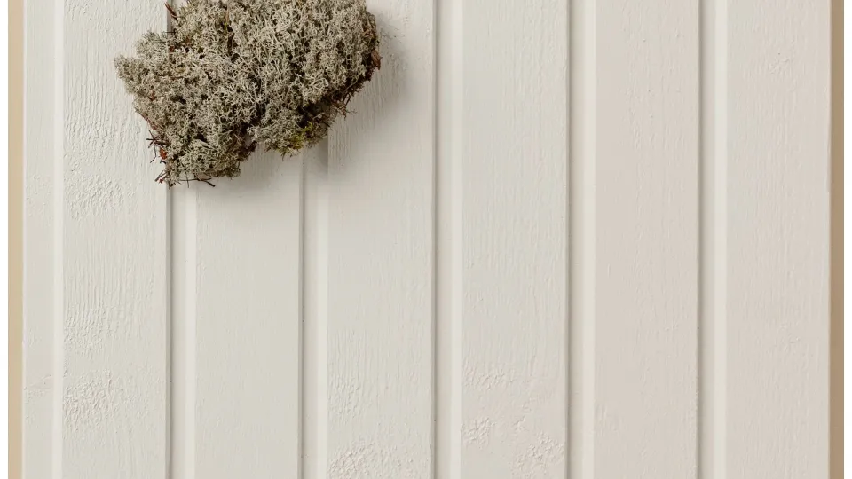 Populārākais koka fasādes tonis – Balts Q854 Pyry