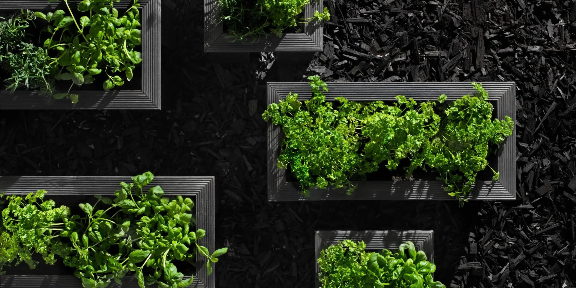 Darzu pilseta uz balkona