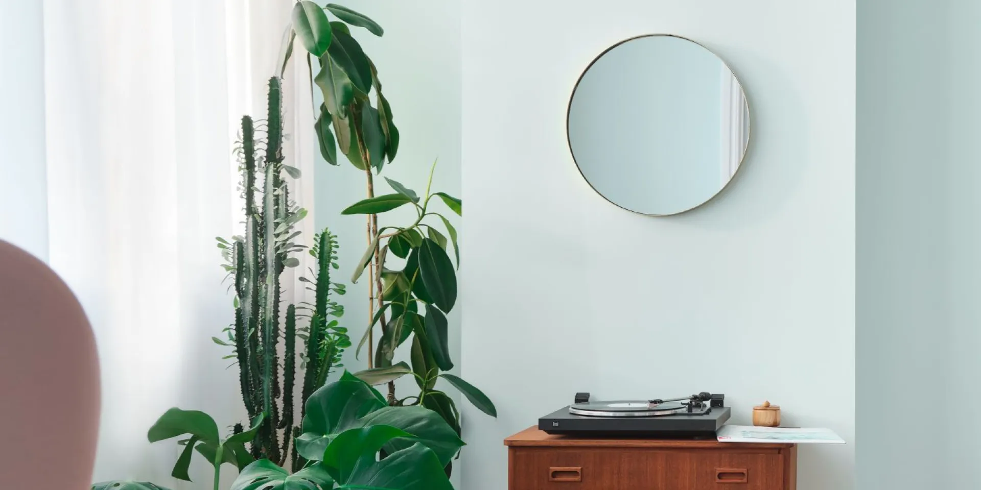 Green painted wall