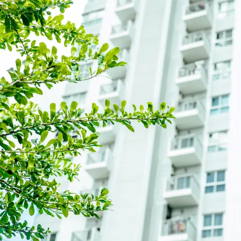 Caurskatāma produkta dzīves cikla ietekme uz vidi ar EPD