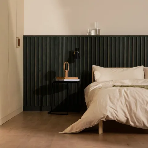 timeless translucent