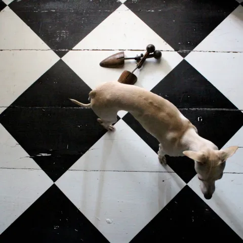 Toņu karte grīdām