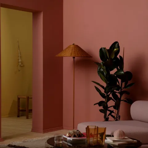 color now 2023