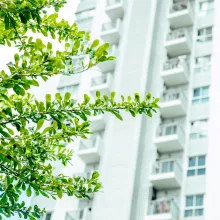 Caurskatāma produkta dzīves cikla ietekme uz vidi ar EPD