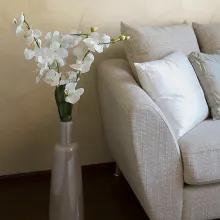 Dekoratīvā krāsošana: efektsiena Zīdaini raksti