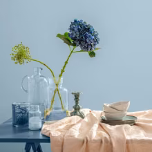 Blue wall painted with colour Cumulus Y354