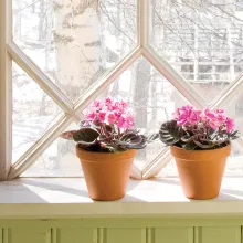 Senlaicīgie toņi - toņu karte