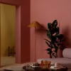 color now 2023