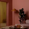 color now 2023