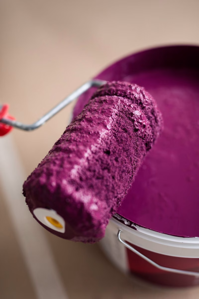 Paint