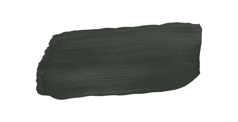 M378 Ficus