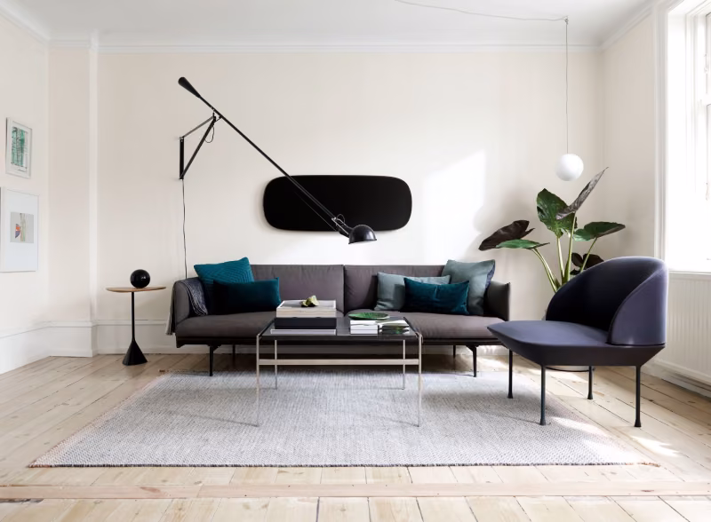 modern bright living room with dark furniture and decor element