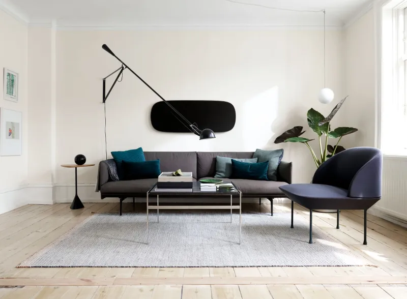 modern bright living room with dark furniture and decor element