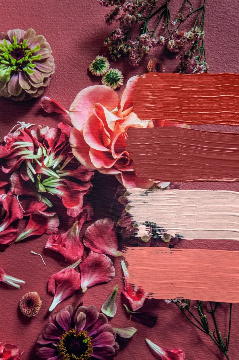 colornow2019
