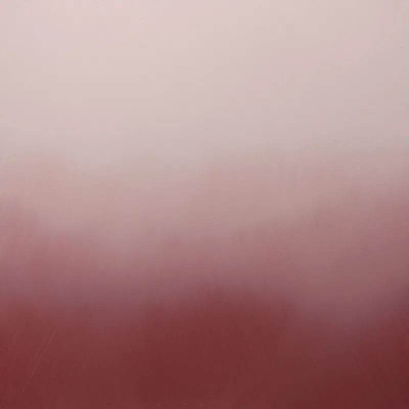 Efektsiena Unique 23 - Migla Harmony G321, Harmony Effect Paint N423 un G321